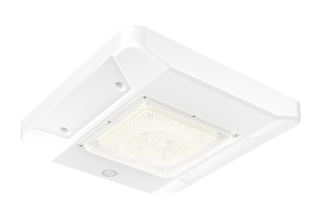 LED Petroleum Fixture
